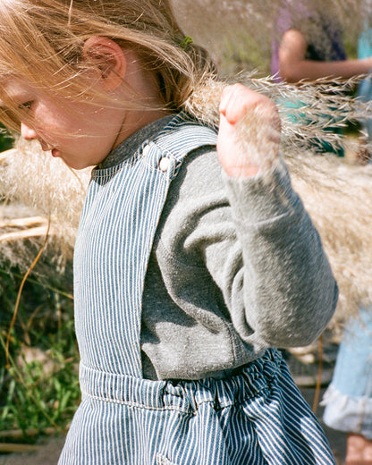 The Kids Pinafore Railroad